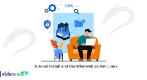 Whatweb on Kali Linux