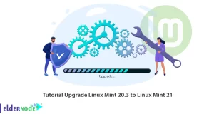 Upgrade Linux Mint 20.3 to 21