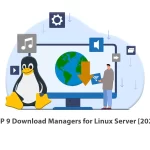 TOP 9 Download Managers for Linux Server [2022]