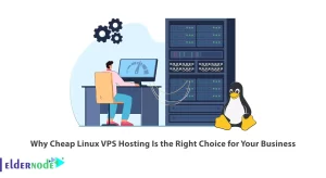Why Cheap Linux VPS Hosting Is the Right Choice for Your Business