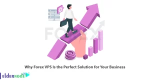 Why Forex VPS Is the Perfect Solution for Your Business