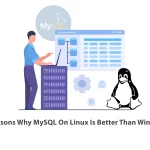 5 Reasons Why MySQL On Linux Is Better Than Windows