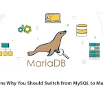 5 Reasons Why You Should Switch from MySQL to MariaDB