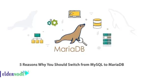 5 Reasons Why You Should Switch from MySQL to MariaDB