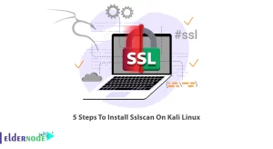 5 Steps To Install Sslscan On Kali Linux