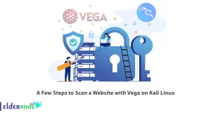 A Few Steps to Scan a Website with Vega on Kali Linux