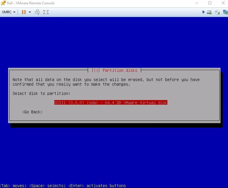Choose-the-disk-to-be-partitioned-Install Kali Linux on VMware ESXi