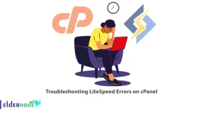 Troubleshooting LiteSpeed Errors on cPanel