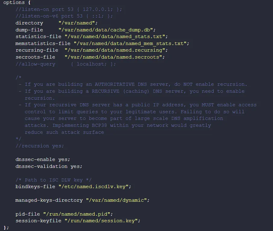 /etc/named.conf