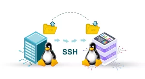 The Best Practices for SCP Linux to Linux File Transfers