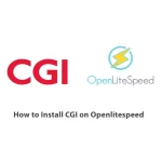 How to Install CGI on Openlitespeed