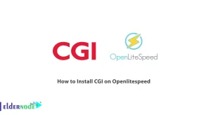 How to Install CGI on Openlitespeed