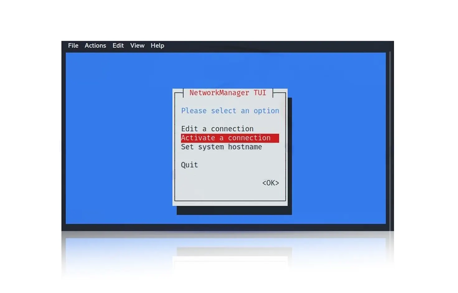 active connection kali linux